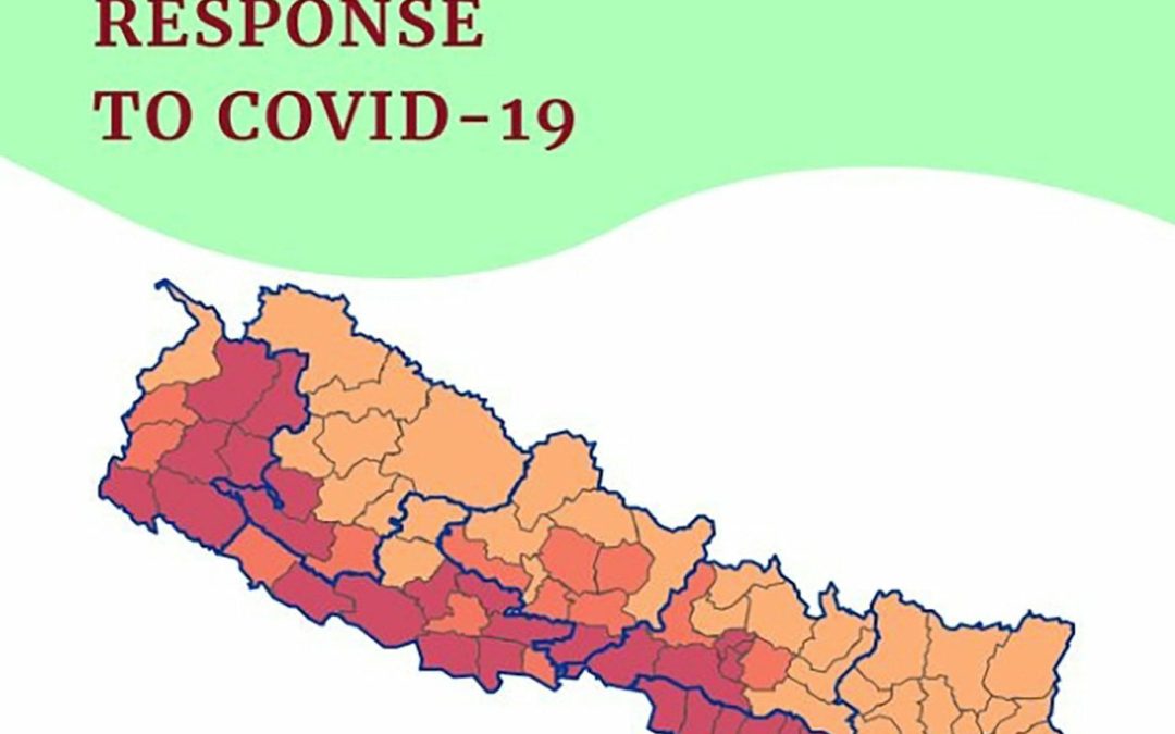 Assessment of Provincial Governments’ Response to COVID-19