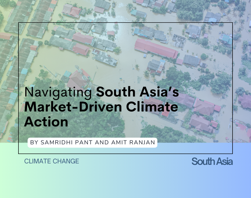 Navigating South Asia’s Market-Driven Climate Action
